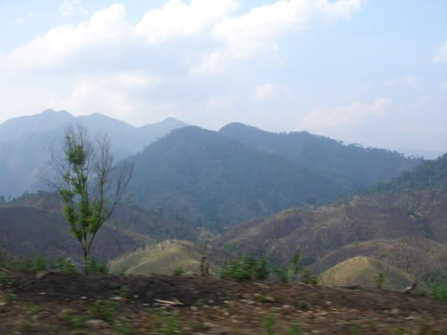DSC08143.jpg