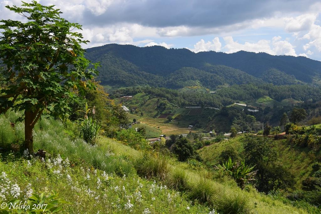 DSC_0023.jpg