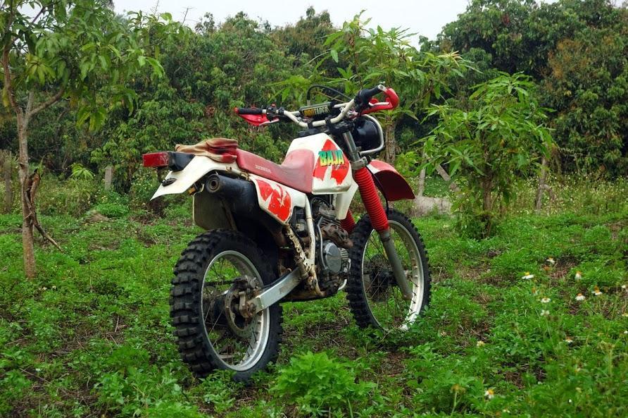 Honda Xlr 250 Baja For Sale Gt Rider Motorcycle Forums