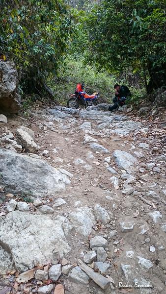 DSC_0059_3-L.jpg