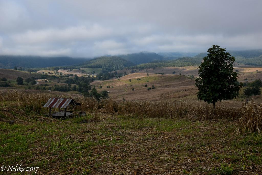 DSC_0074.jpg