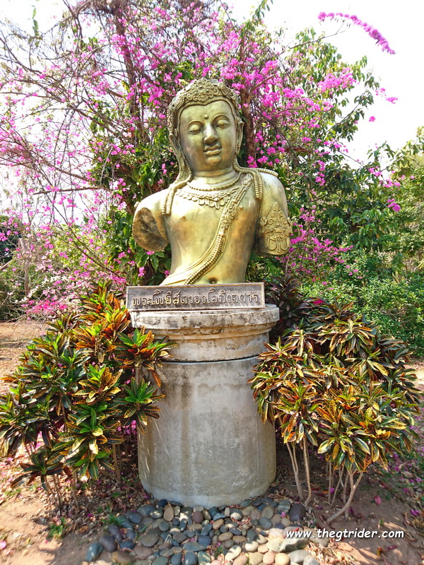 DSC_0132.JPG