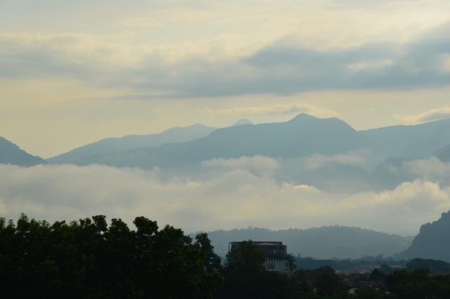 DSC_0195.jpg