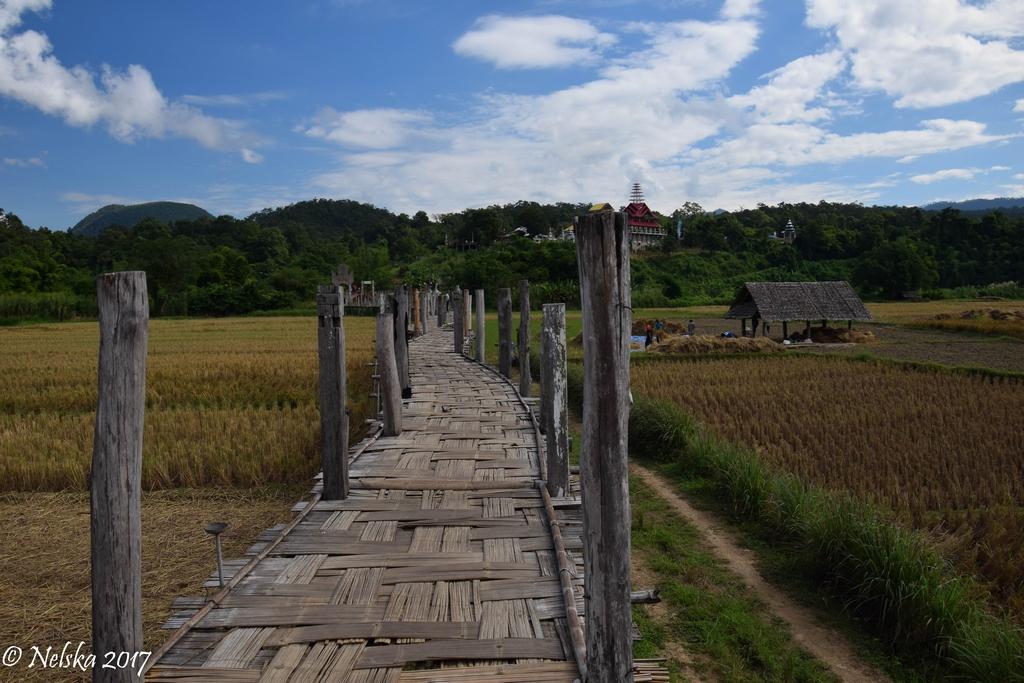 DSC_0219.jpg