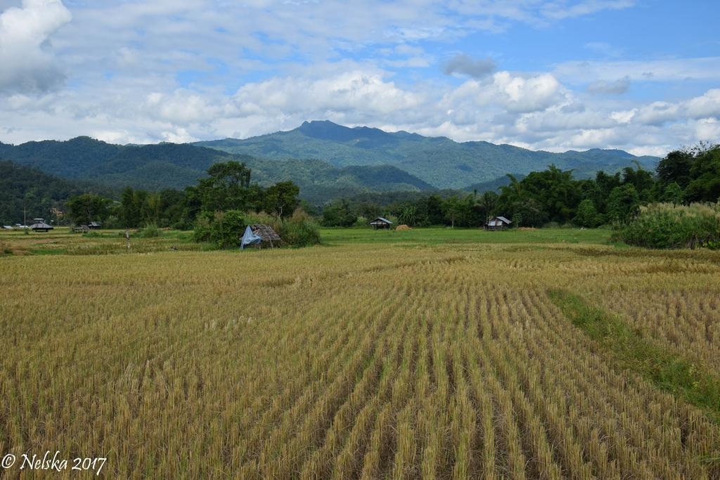 DSC_0238.jpg
