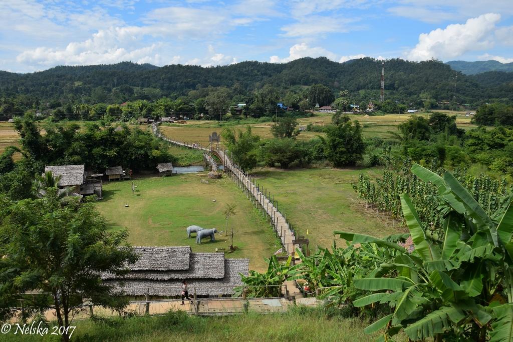 DSC_0264.jpg