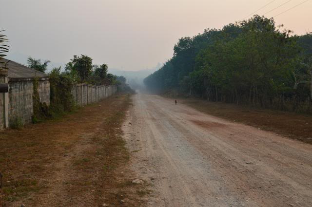 DSC_0315.jpg