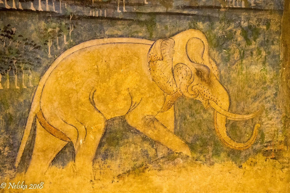 DSC_0354.JPG
