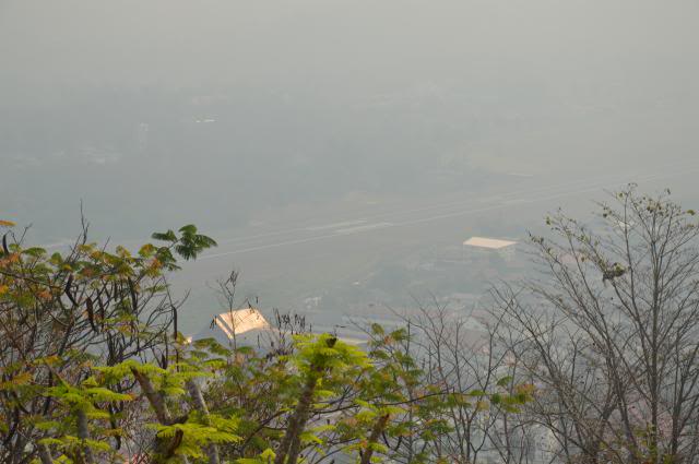 DSC_0419.jpg