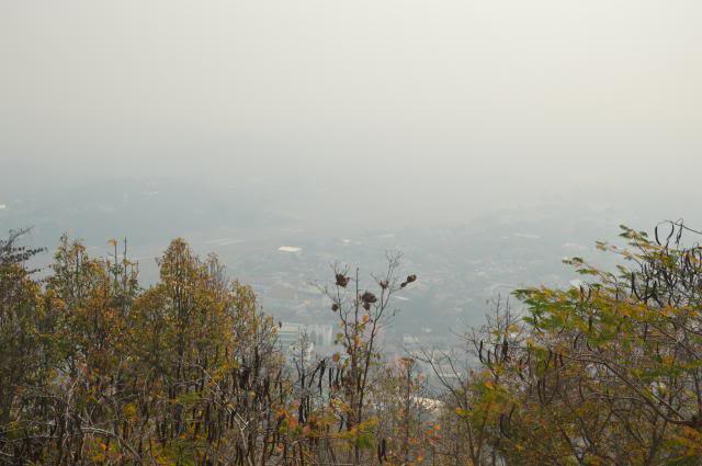 DSC_0427.jpg