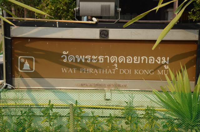 DSC_0429.jpg
