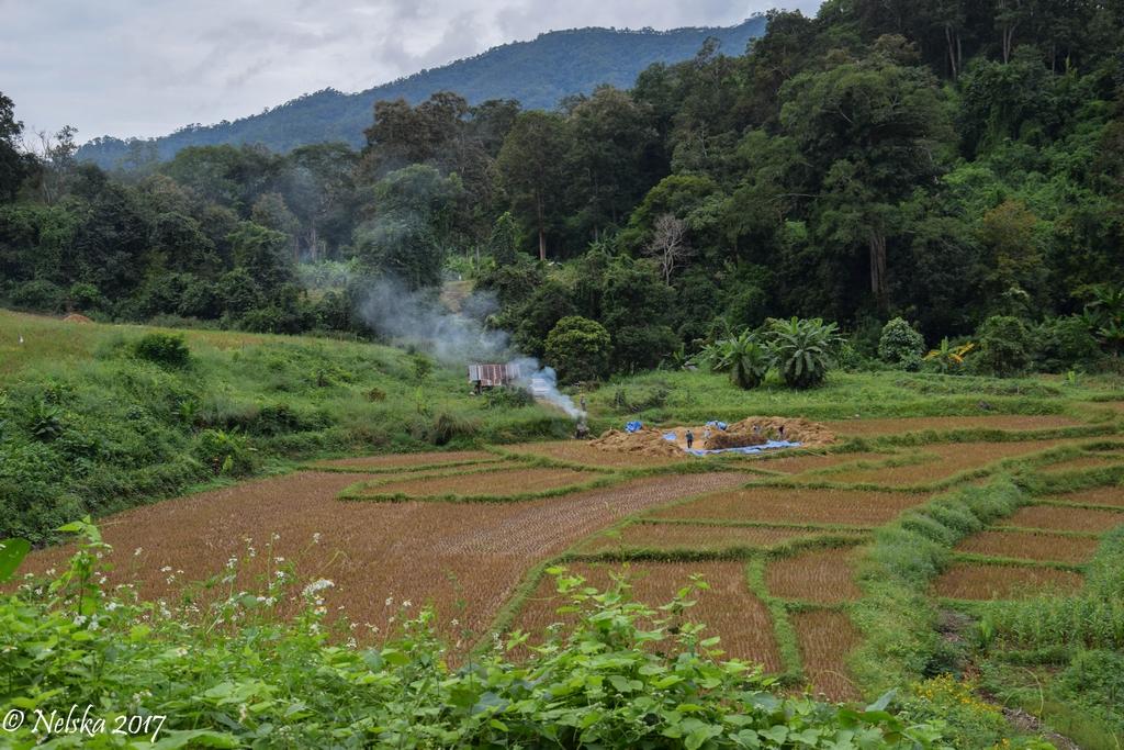 DSC_0449.jpg