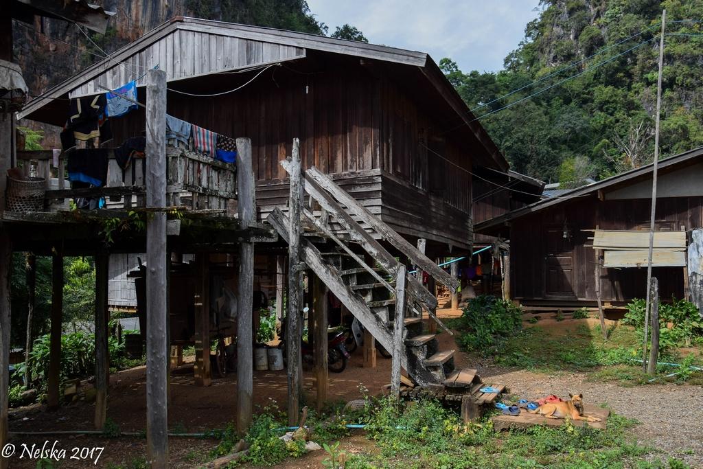 DSC_0552.jpg