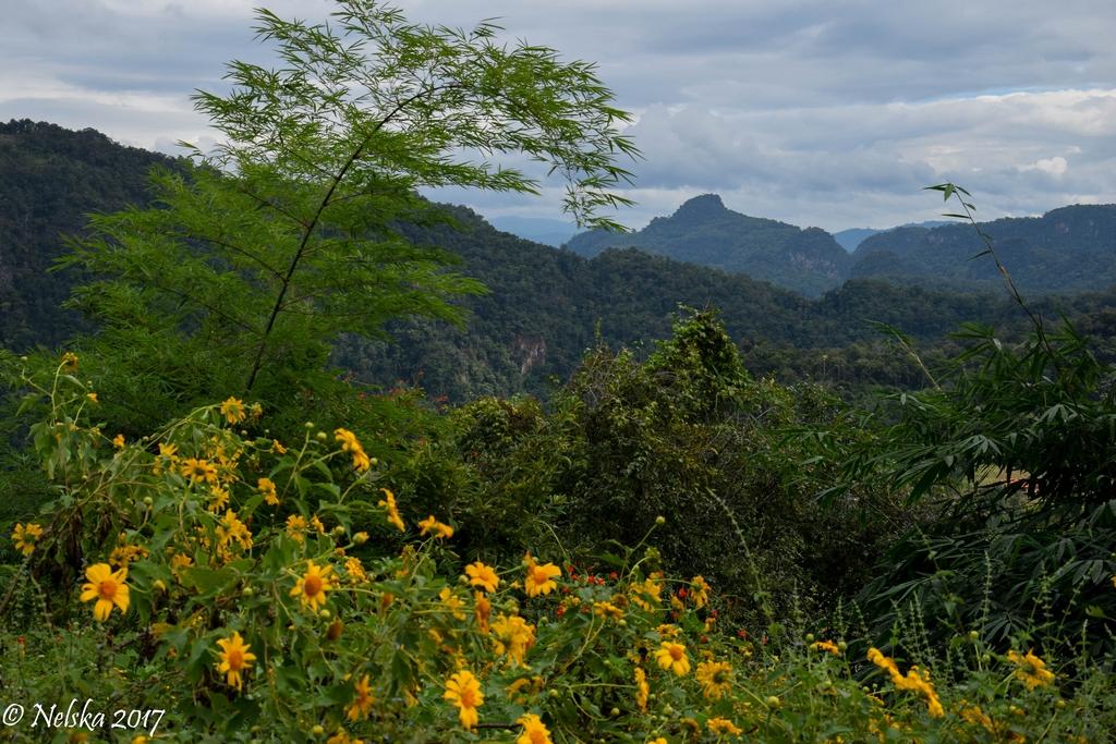 DSC_0569.jpg