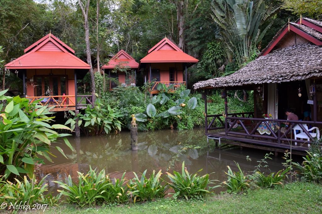 DSC_0618.jpg