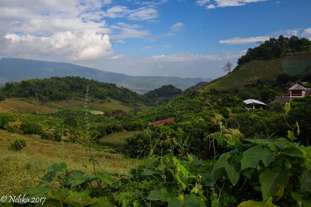 DSC_14.jpg