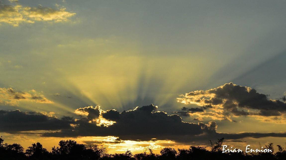 DSC_1403-X3.jpg