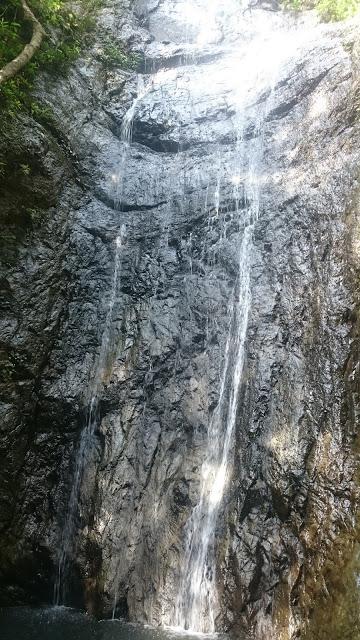 DSC_1695.jpg