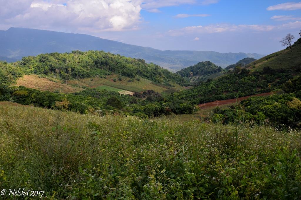 DSC_17.jpg