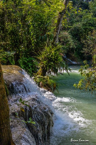 DSC_2176-L.jpg