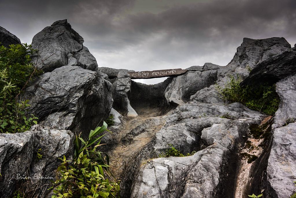 DSC_2877-XL.jpg