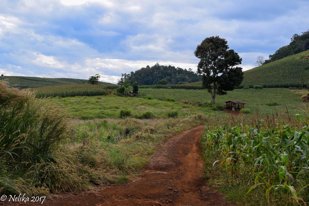 DSC_40.jpg