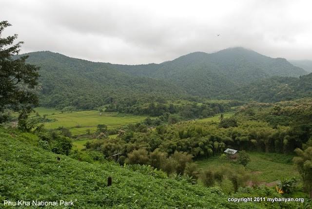 DSC_7937.jpg