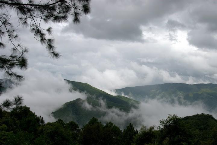 DSC_7953.jpg