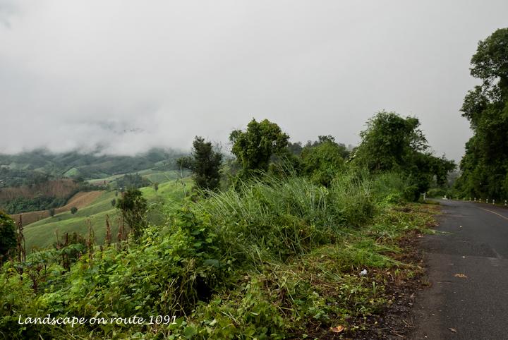 DSC_8023.jpg