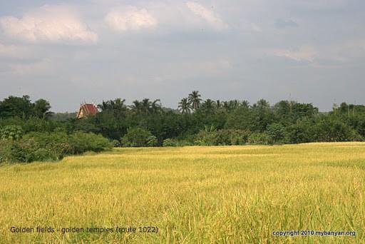 DSC_9538.jpg