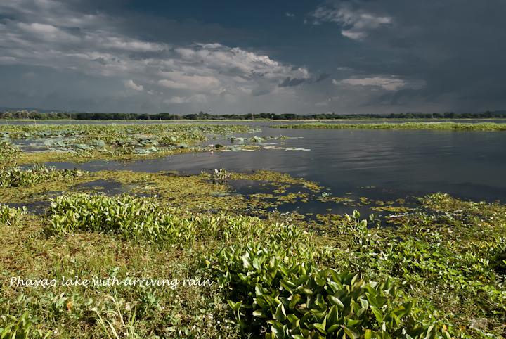 DSC_Laos0911B%252520%25252839%252529.jpg