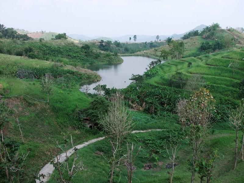DSCF1567.jpg