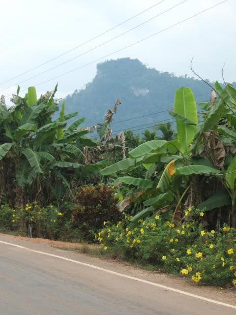 DSCF2698.jpg