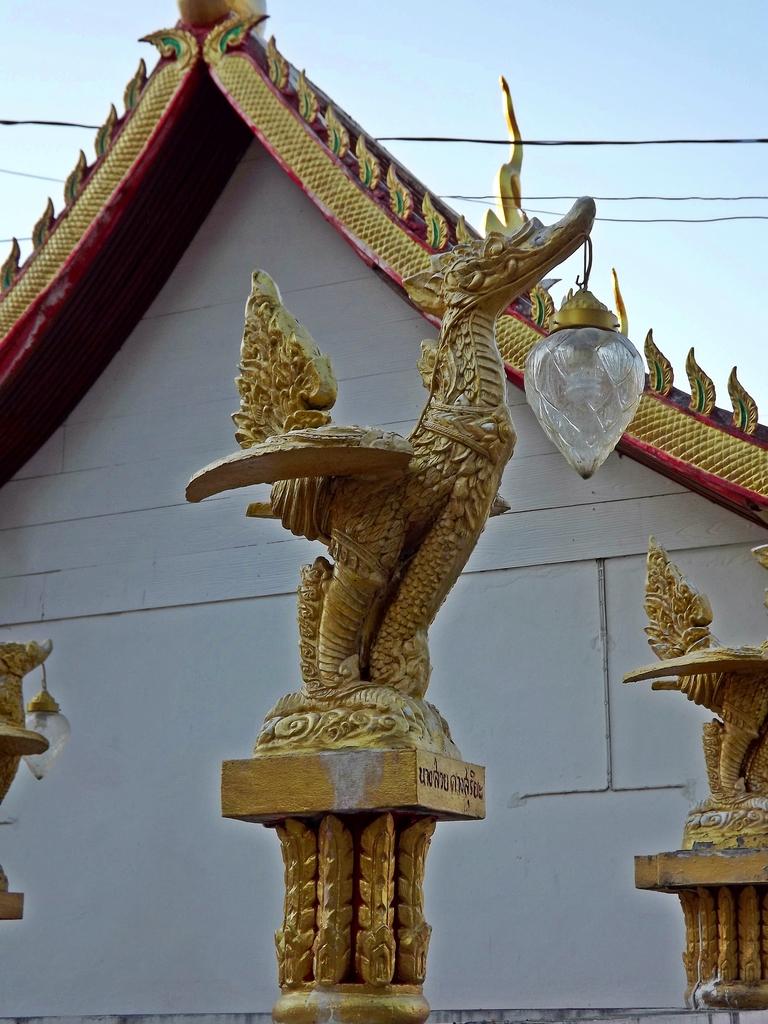 DSCF2856.jpg
