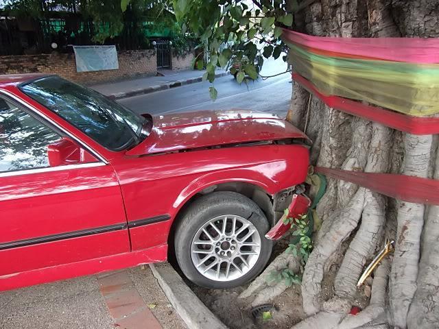 DSCF8375.jpg