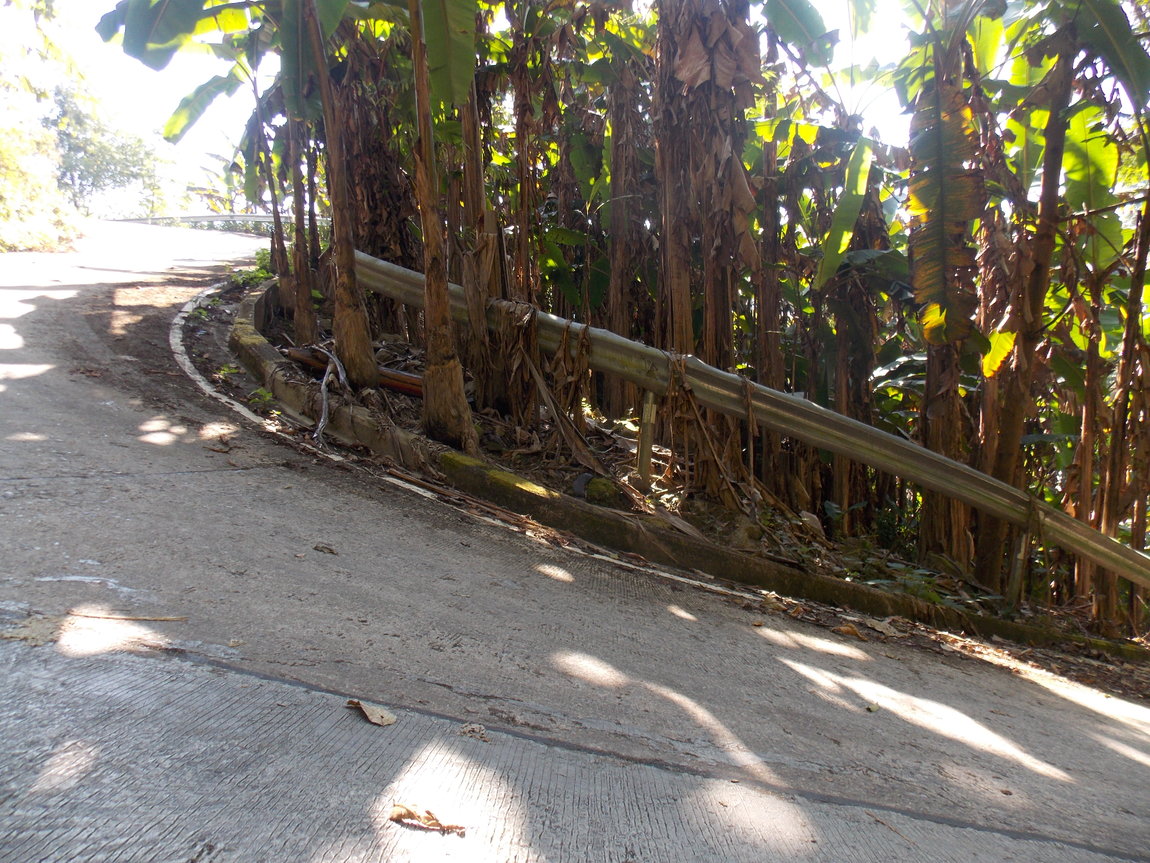 DSCN0096.JPG