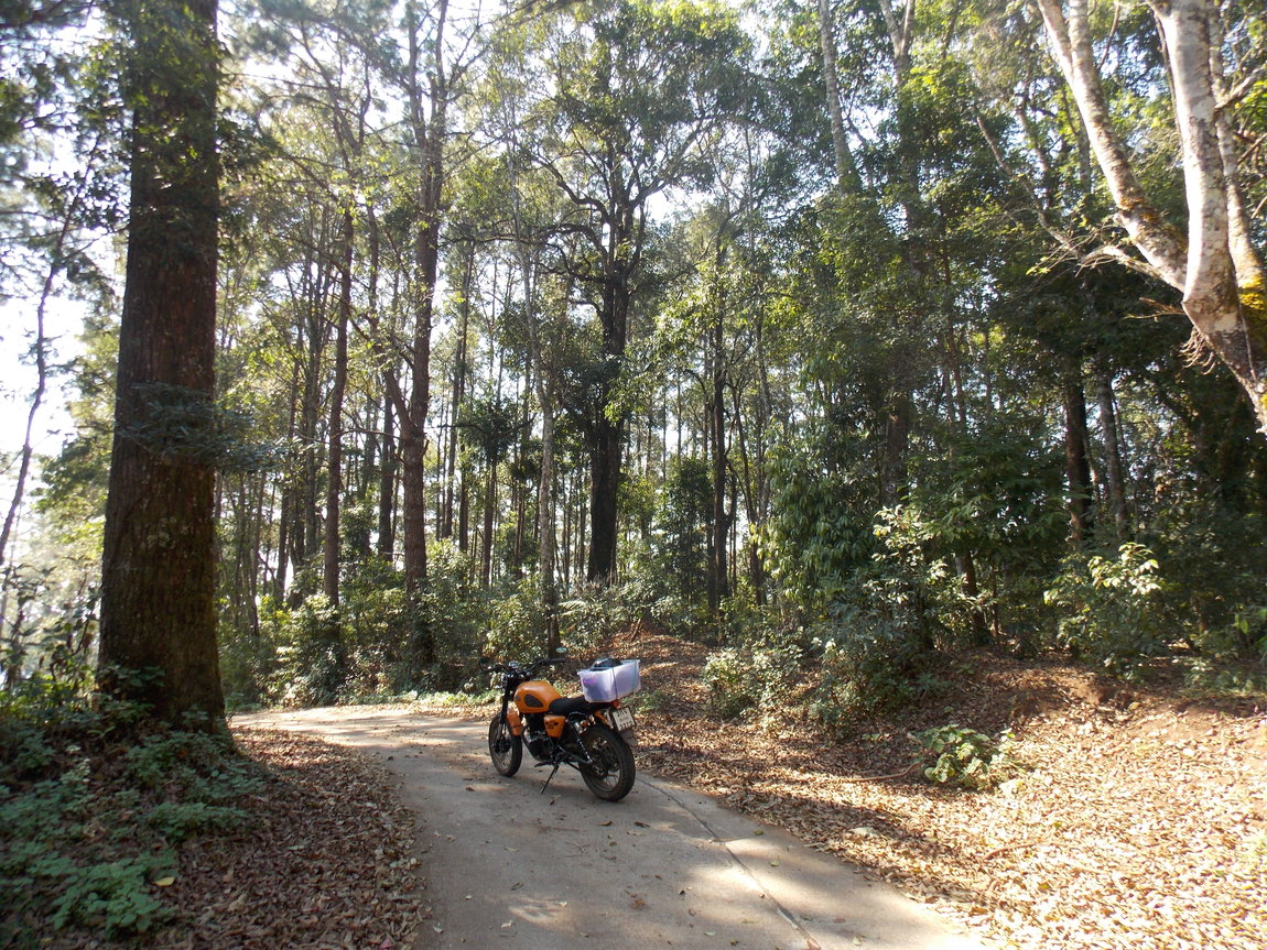 DSCN0097.JPG