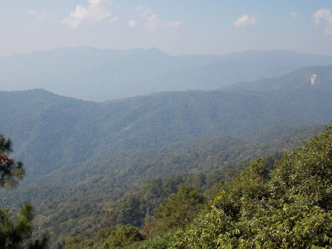 DSCN0103.JPG