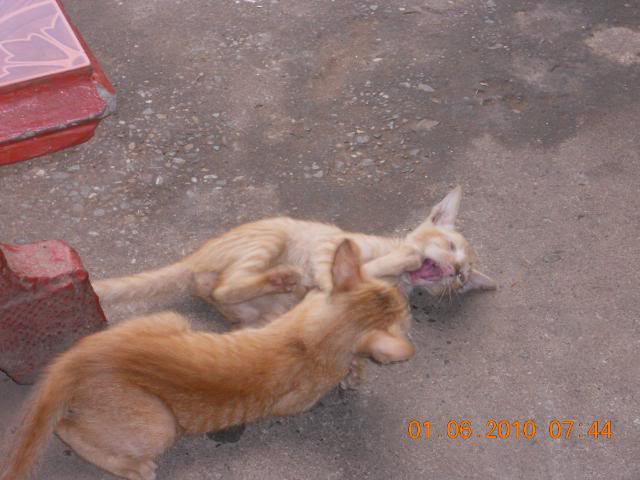 DSCN0192.jpg