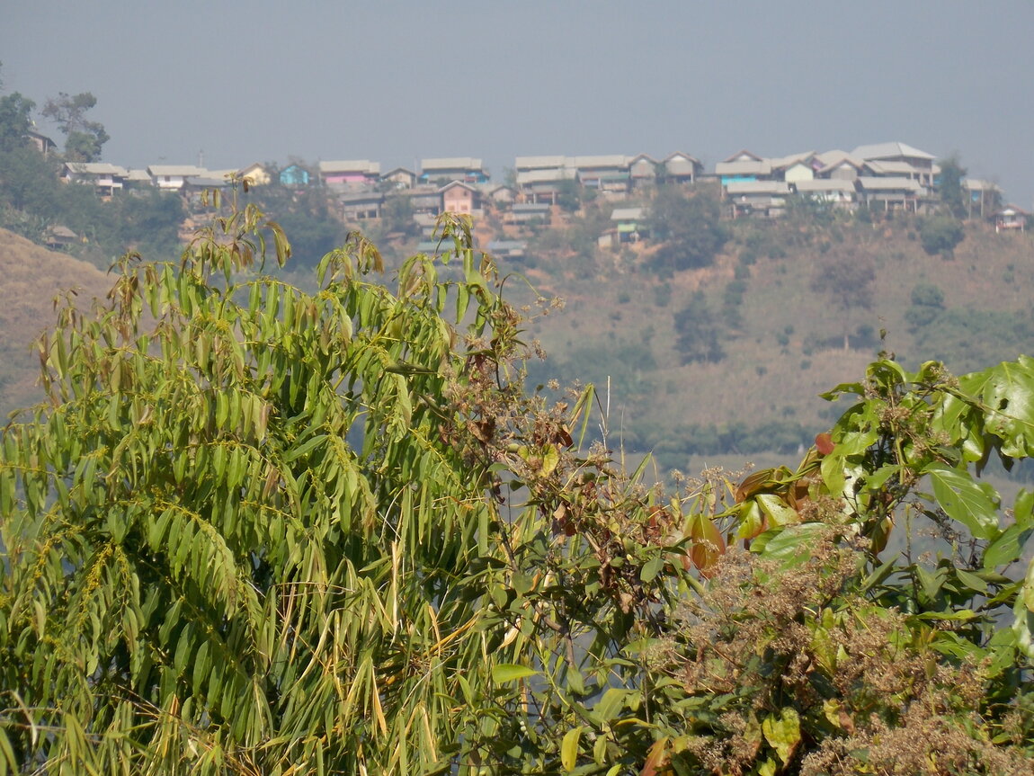 DSCN0208.JPG