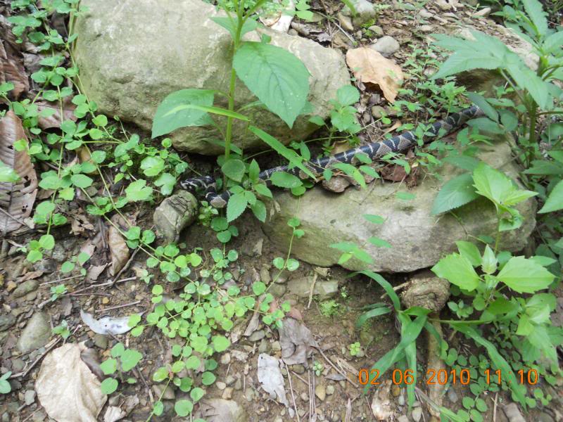 DSCN0266.jpg