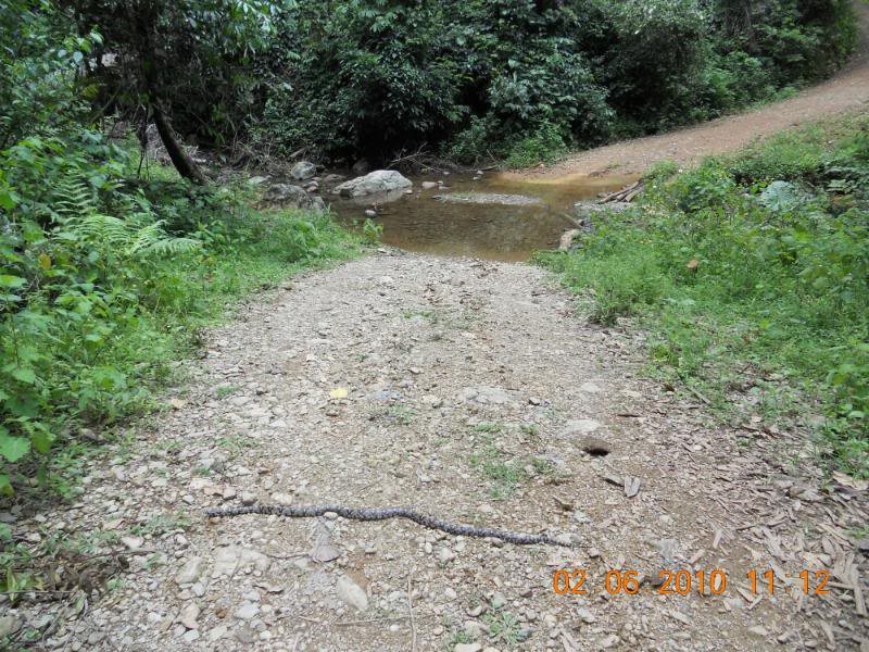 DSCN0269.jpg