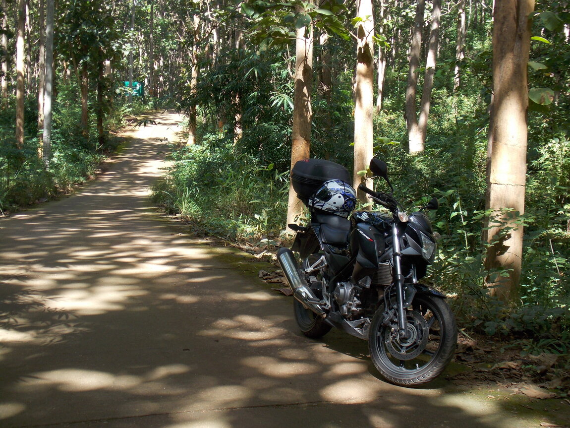 DSCN0382.JPG
