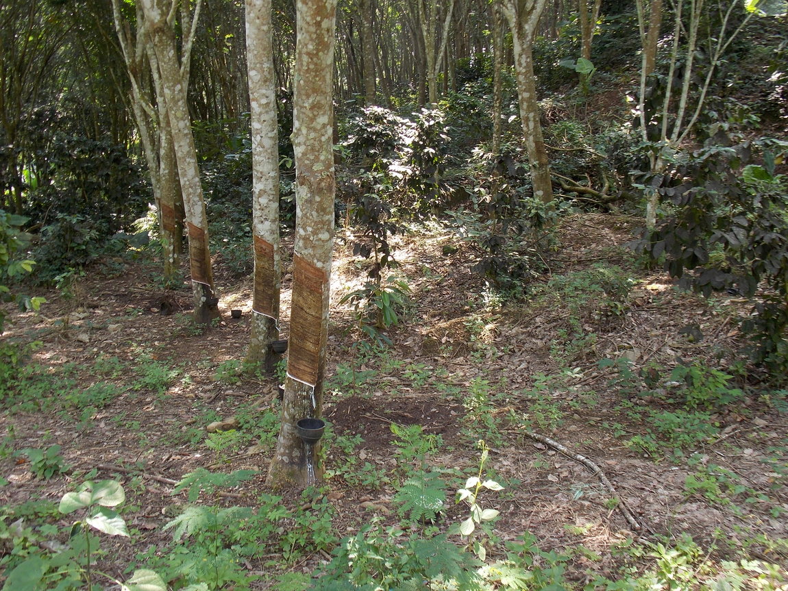 DSCN0452.JPG