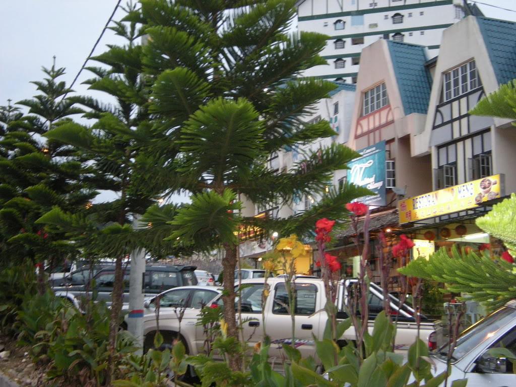 DSCN0473.jpg