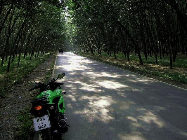 DSCN0636.jpg