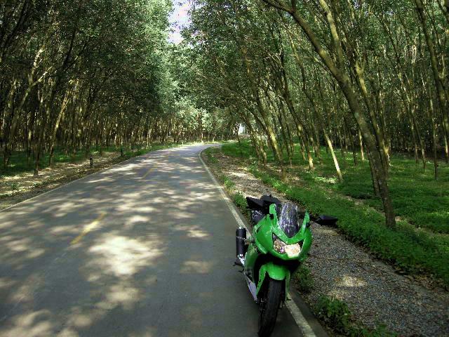 DSCN0637.jpg
