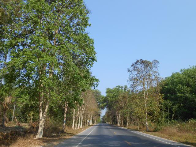 DSCN0653.jpg