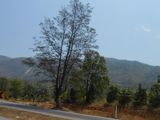 DSCN0674.jpg