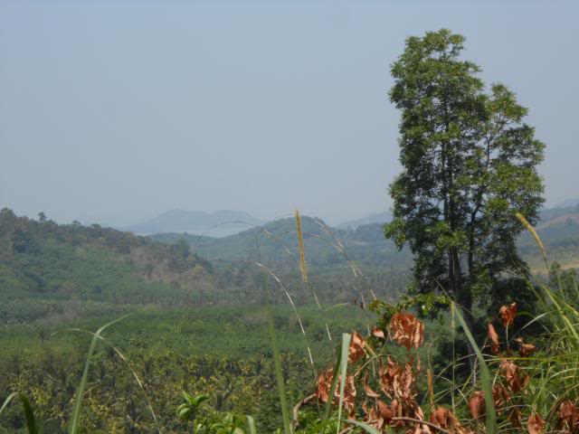 DSCN0690.jpg